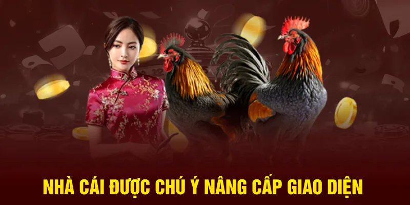 Nhà cái được chú ý nâng cấp giao diện