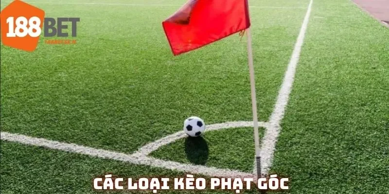 Cách đọc corner bet đơn giản, dễ hiểu nhất