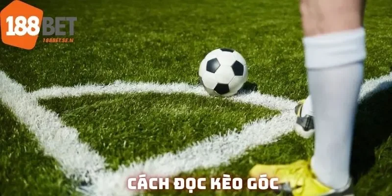 Định nghĩa căn bản về kèo phạt góc mà ai cũng phải biết